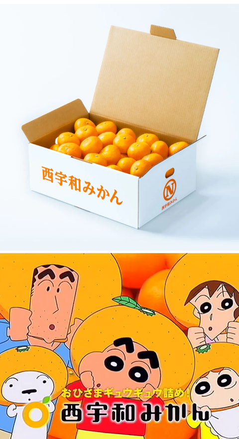 ダウンロード - 2025-01-06T182752.756