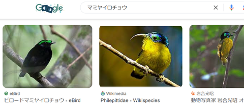 スクリーンショット (2091)