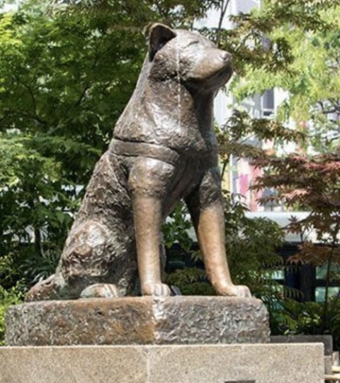 ダウンロード - 2026-01-01T184245.308