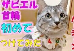 images (6)