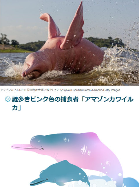 ダウンロード - 2025-10-22T213729.185