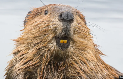 ダウンロード - 2025-12-18T061810.429