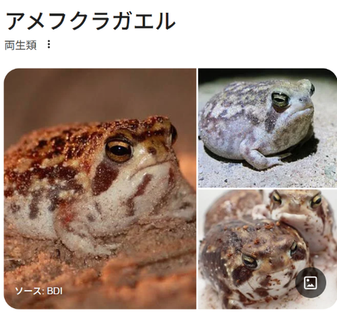 ダウンロード - 2026-03-23T210630.697
