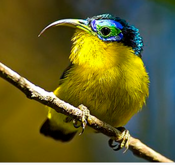 スクリーンショット (2095)