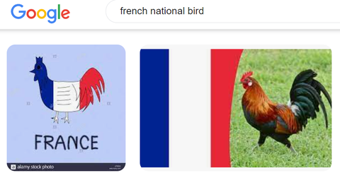 スクリーンショット (721)