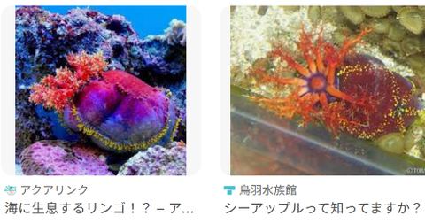 ダウンロード - 2026-02-20T062818.822