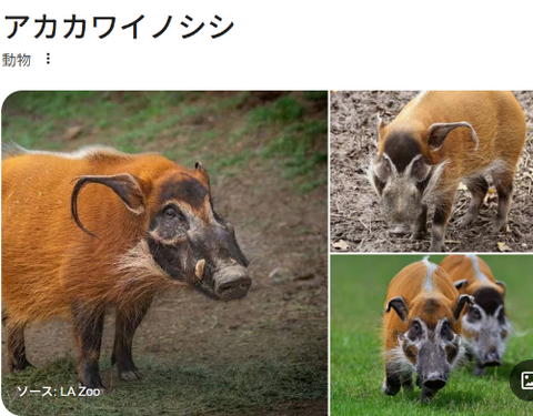 ダウンロード - 2026-04-06T215312.989