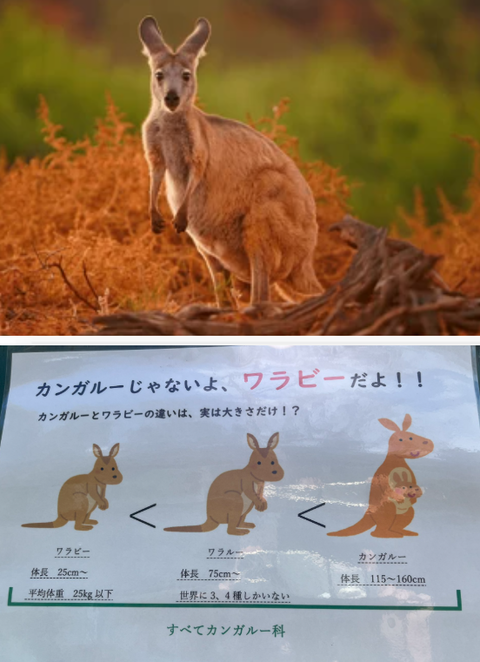 ダウンロード - 2024-10-10T211433.136
