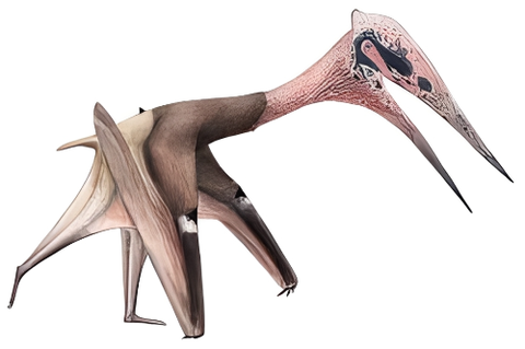 ダウンロード - 2026-02-14T205000.530