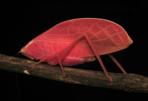 ダウンロード - 2026-03-17T202549.521