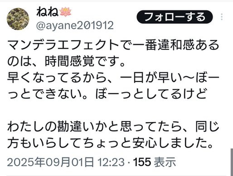 ダウンロード - 2025-11-13T212840.957