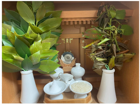 ダウンロード - 2026-01-30T001257.825