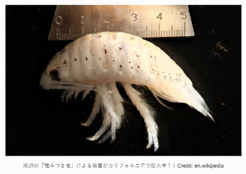 ダウンロード - 2025-11-20T202918.603