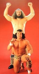 ダウンロード (55)