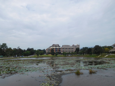 blog-image-Chiangrai-university