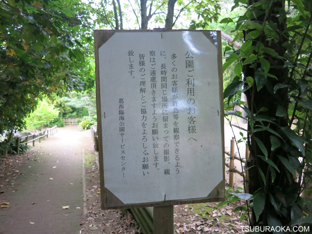 大型のレンズ 本格的なカメラ 大型の三脚を装備した中年男性がどっしりと構えて野鳥を撮影している マナーの悪いやつはこっちに来るな って目で見られるのはちょっと こだわり百貨店 Tsuburaoka Com