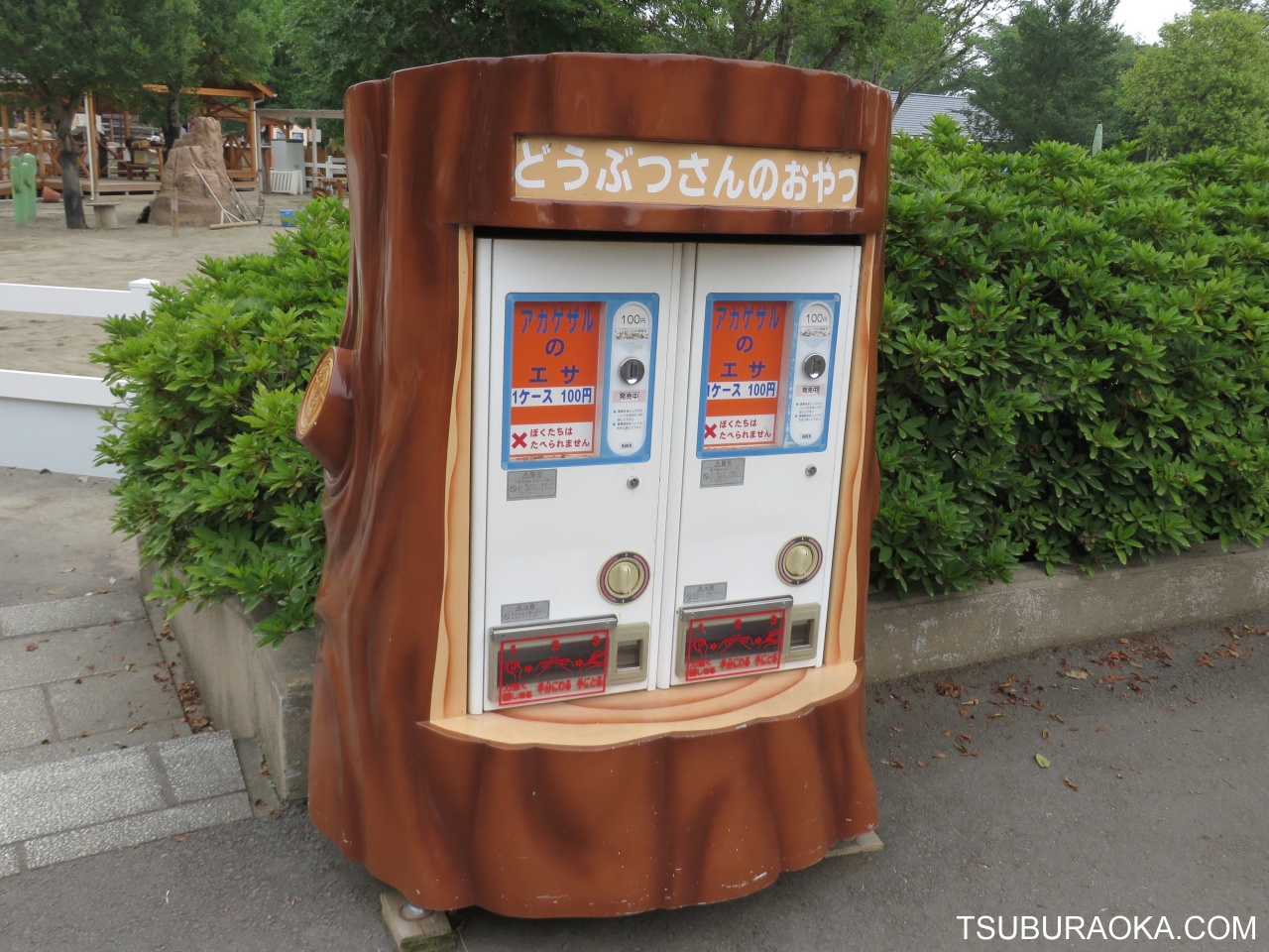こだわり百貨店 TSUBURAOKA.COM : 東武動物公園では動物の餌を買って動物にあげることが出来るんだな。いろいろな動物のための餌が ... - 190aa9ef こだわり百貨店 TSUBURAOKA.COM : 東武動物公園では動物の餌を買って動物にあげることが出来るんだな。いろいろな動物のための餌が ... - 190aa9ef