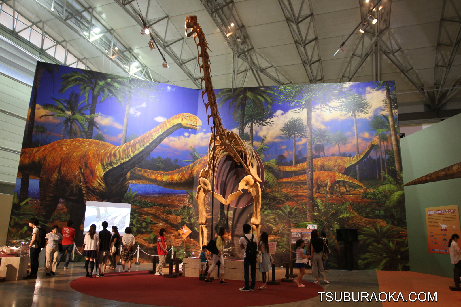 全長30メートルのトゥリアサウルスの復元骨格 半身 は圧巻 幕張メッセのメガ恐竜展は必見 こだわり百貨店 Tsuburaoka Com