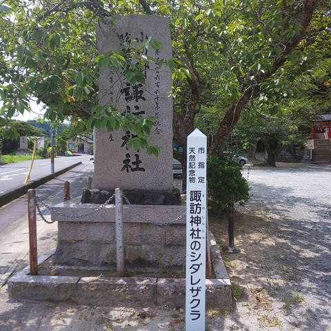 DSC_0001-DESKTOP-APJ23G6