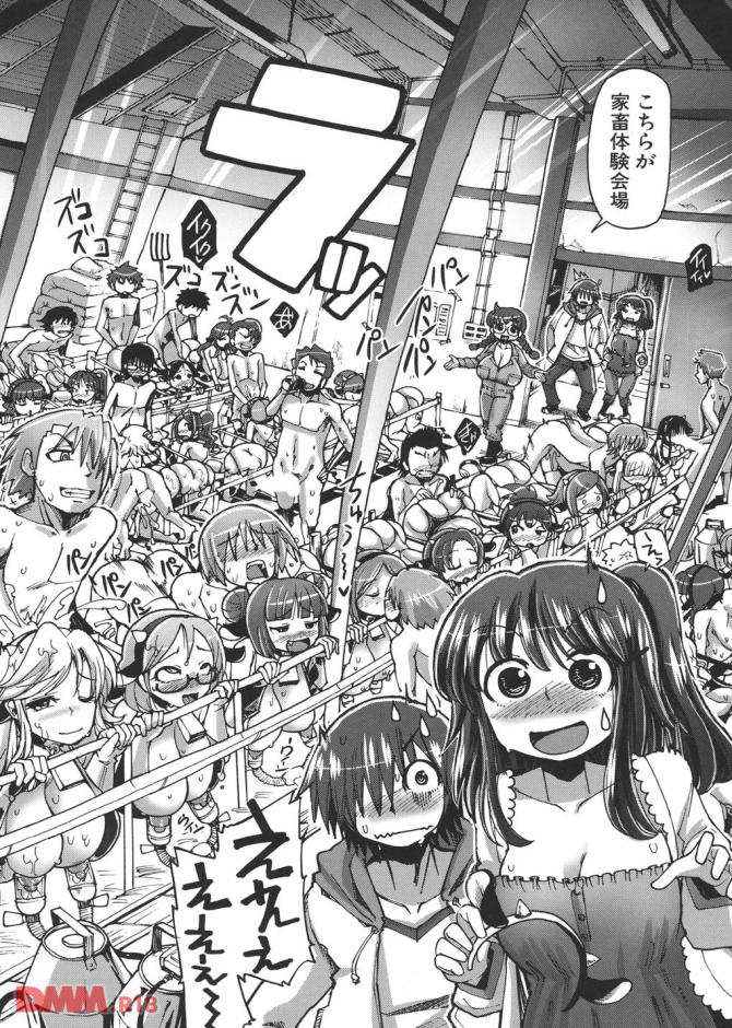 P.07