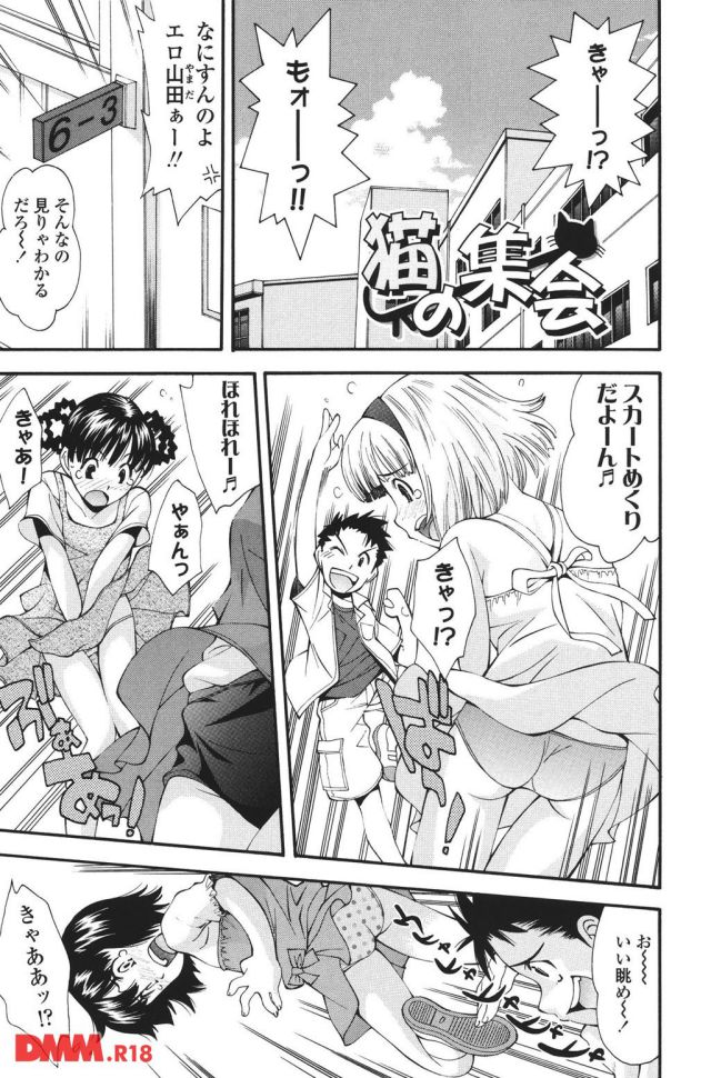 P.004