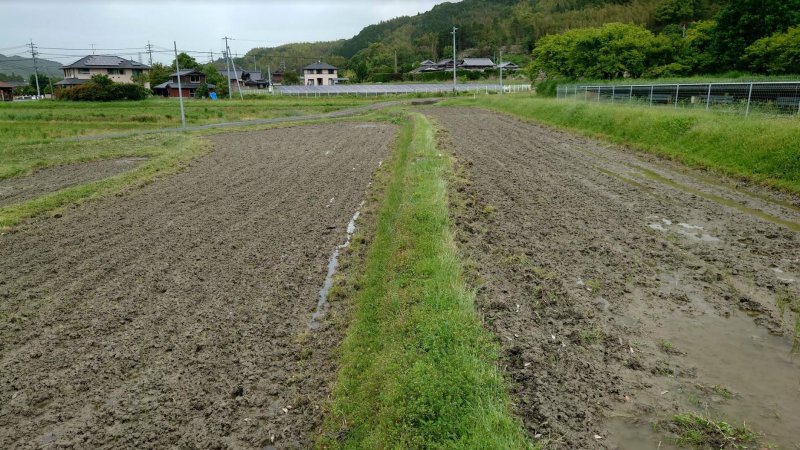 3日間、畦離し作業 : ettomio ニュース斜め読み