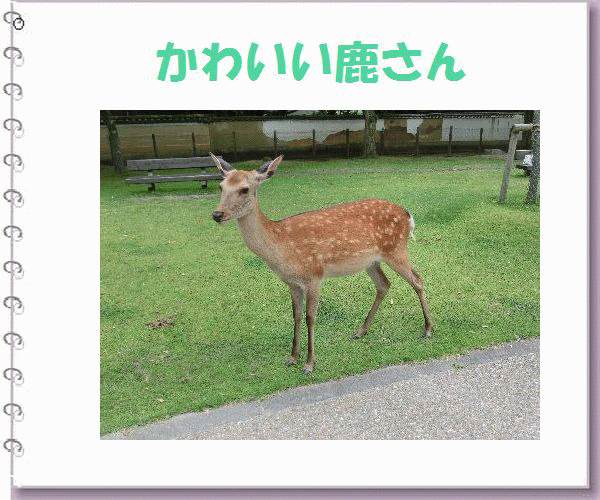 しかさん Etuko17のブログ