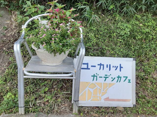 忙しかったけど 楽しかった ユーカリットの庭