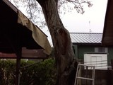 P2010_0406_084955