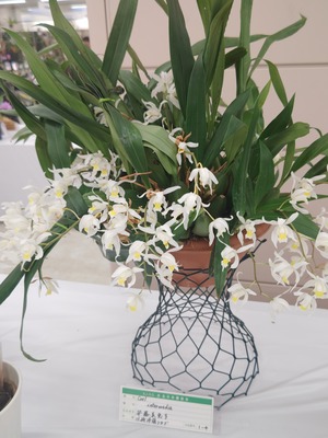260112104223938