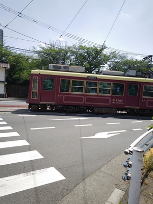 260516100808790