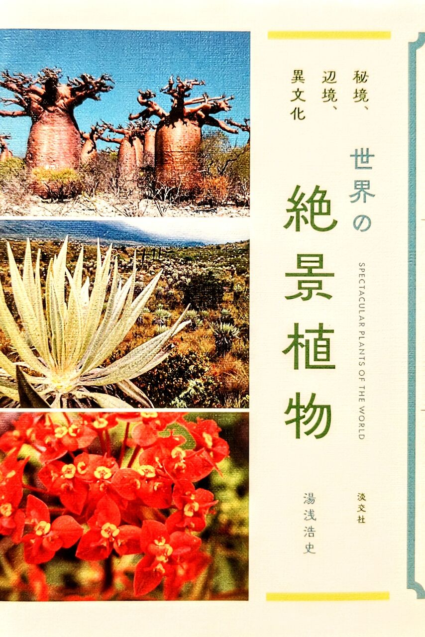 書評『世界の絶景植物』(2024年刊行) : ユーフォルビア・オベサ