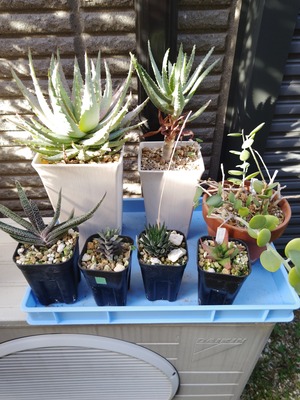 260509162808058