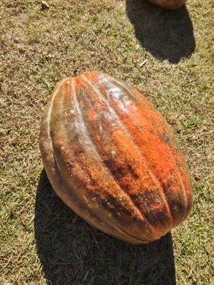241201101339224