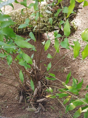 260212102004000