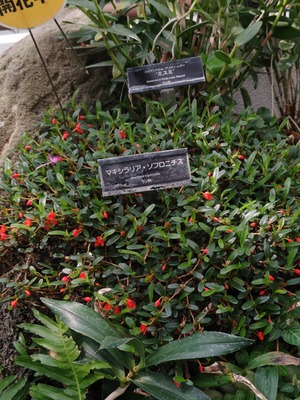 260324110659233