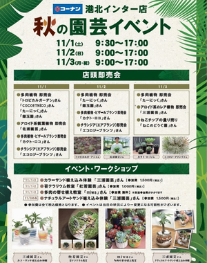 Screenshot_20251101-222242~2