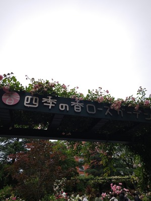 260523104447830