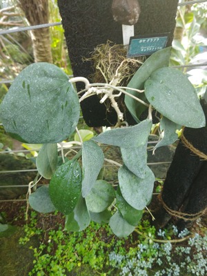 260104103247045