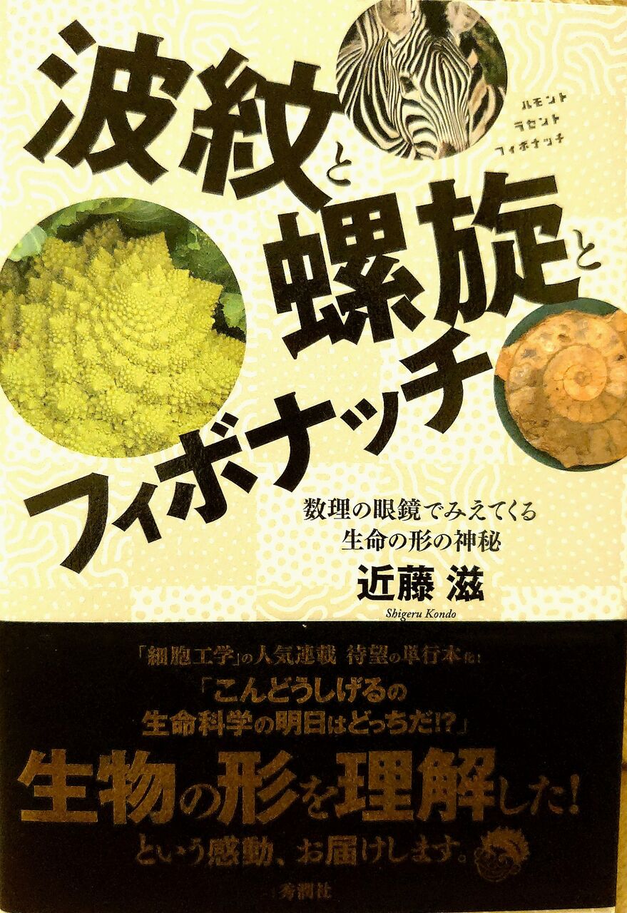 ユーフォルビア・オベサ・ドットコム
	  葉序の究極要因とフィボナッチ数の謎
	コメント