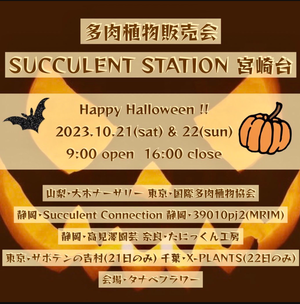Screenshot_20231014-142445~2