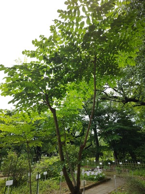 260506094255710