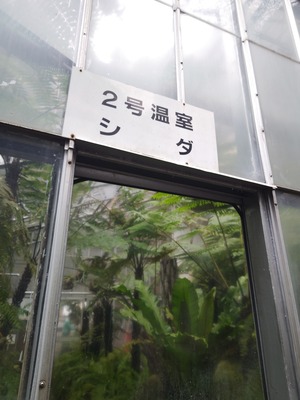 260212112538191