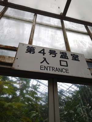 260212105235347