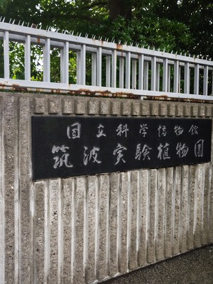 240622102651482