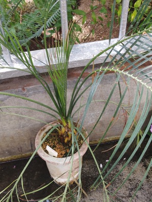 260212101935115