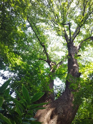 260825091903192
