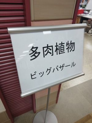 260712103458449