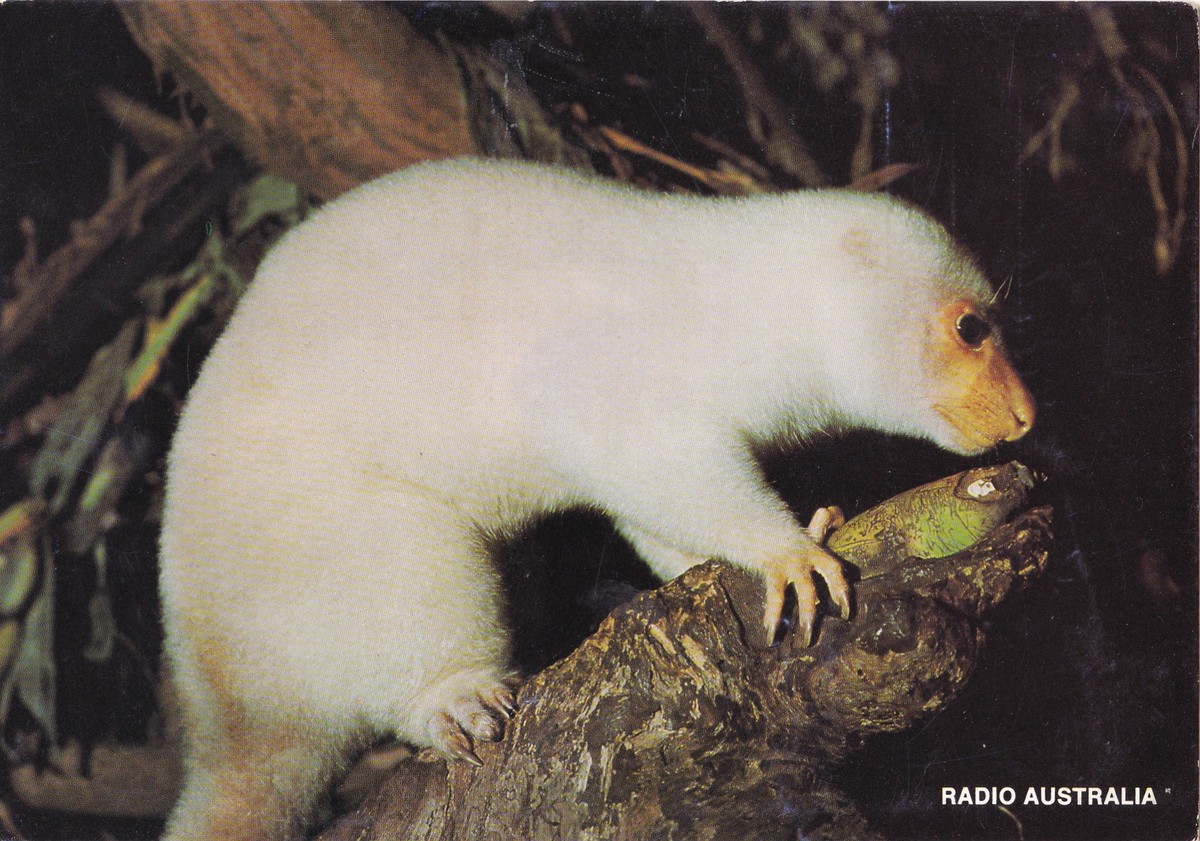 クスクスのベリカード K 気楽にいこうよ クスクスのベリカード K 気楽にいこうよ