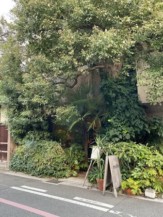 ���ե����⡼��